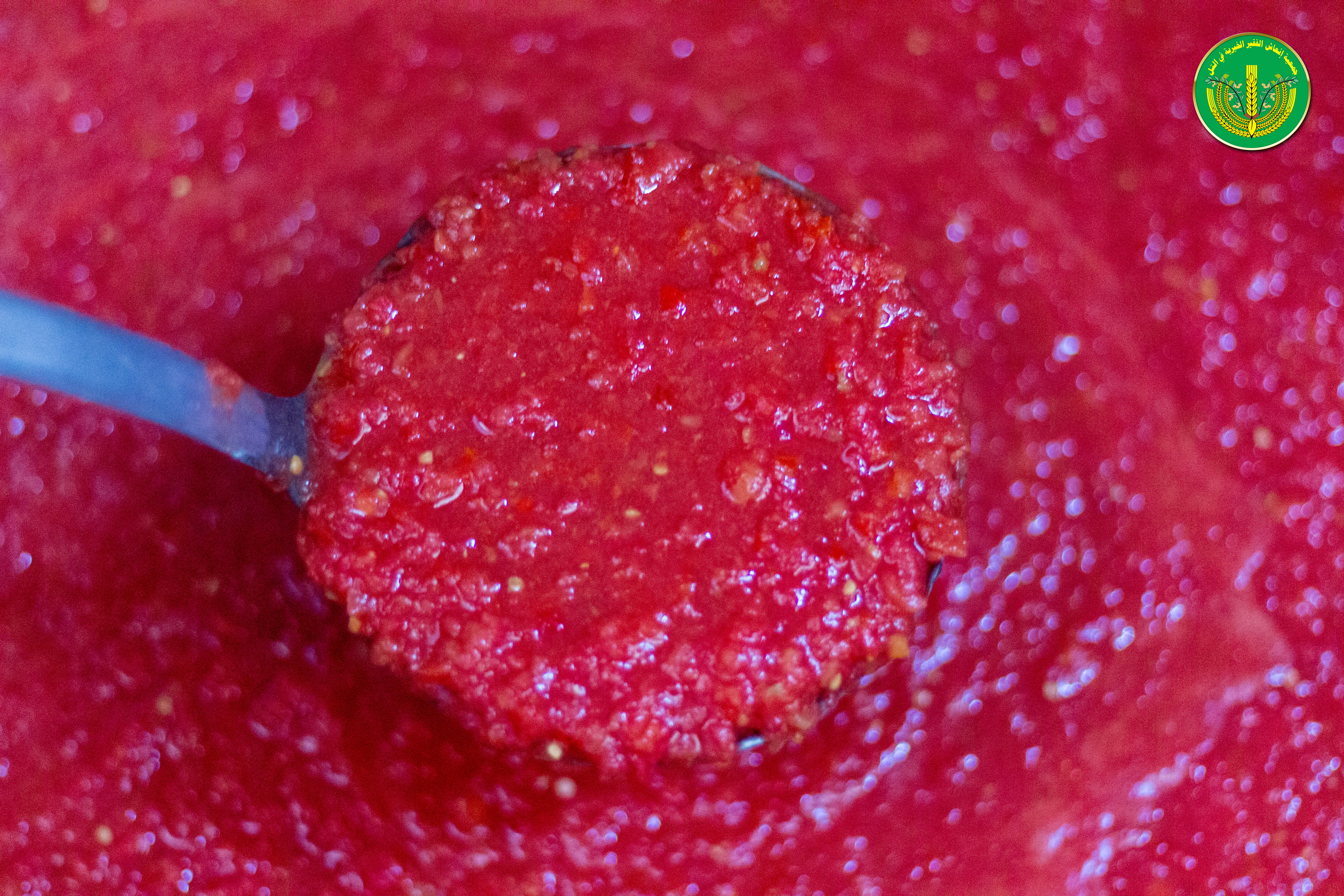 أحدث طلبات المطبخ